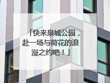 快来泉城公园，赴一场与荷花的浪漫之约吧！