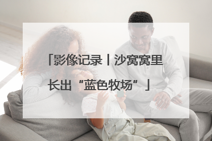 影像记录丨沙窝窝里长出“蓝色牧场”