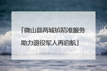 微山县两城镇精准服务助力退役军人再启航