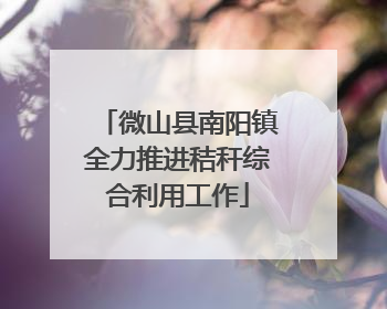 微山县南阳镇全力推进秸秆综合利用工作