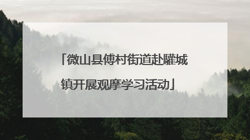 微山县傅村街道赴驩城镇开展观摩学习活动