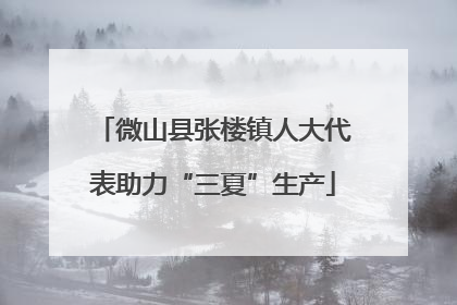 微山县张楼镇人大代表助力“三夏”生产