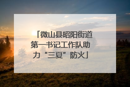 微山县昭阳街道第一书记工作队助力“三夏”防火