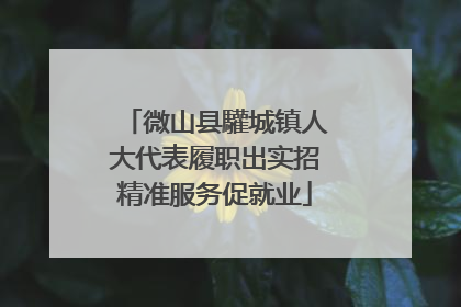 微山县驩城镇人大代表履职出实招精准服务促就业
