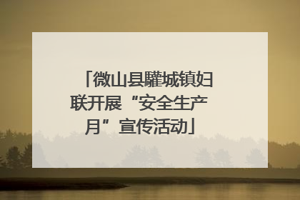 微山县驩城镇妇联开展“安全生产月”宣传活动