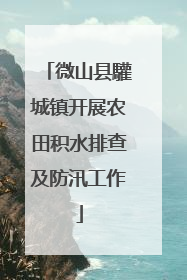 微山县驩城镇开展农田积水排查及防汛工作