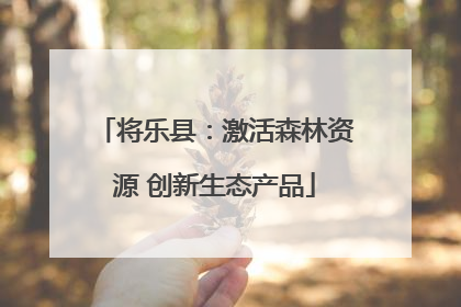 将乐县：激活森林资源 创新生态产品