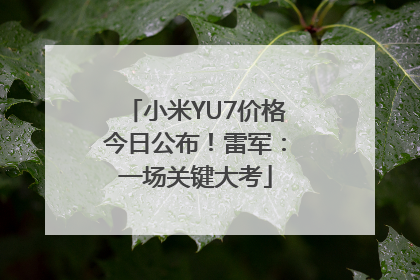 小米YU7价格今日公布！雷军：一场关键大考