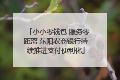 小小零钱包 服务零距离 东阳农商银行持续推进支付便利化