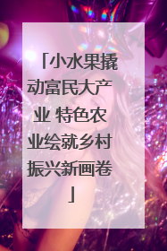 小水果撬动富民大产业 特色农业绘就乡村振兴新画卷