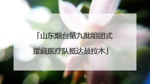 山东烟台第九批组团式援藏医疗队抵达聂拉木