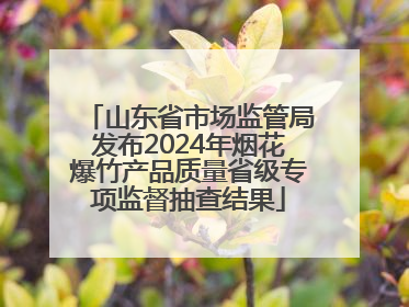 山东省市场监管局发布2024年烟花爆竹产品质量省级专项监督抽查结果
