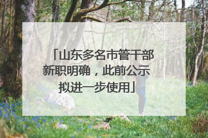 山东多名市管干部新职明确，此前公示拟进一步使用