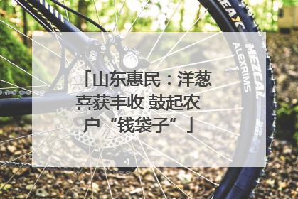 山东惠民：洋葱喜获丰收 鼓起农户“钱袋子”