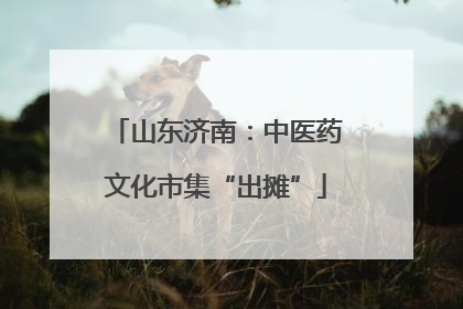 山东济南：中医药文化市集“出摊”
