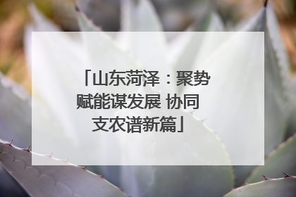 山东菏泽：聚势赋能谋发展 协同支农谱新篇