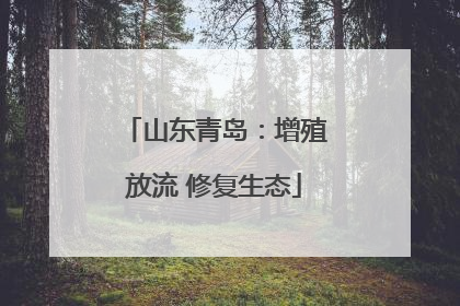 山东青岛：增殖放流 修复生态