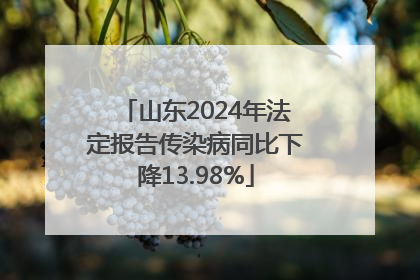 山东2024年法定报告传染病同比下降13.98%