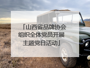 山西省品牌协会组织全体党员开展主题党日活动