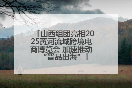 山西组团亮相2025黄河流域跨境电商博览会 加速推动“晋品出海”