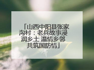 山西中阳县张家沟村：老兵故事浸润乡土 温情乡邻共筑国防情
