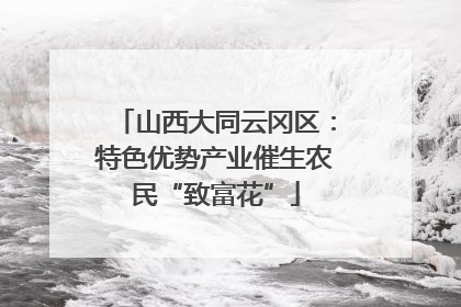山西大同云冈区：特色优势产业催生农民“致富花”