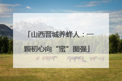 山西晋城养蜂人：一颗初心向“蜜”图强