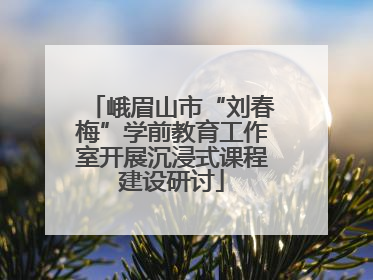 峨眉山市“刘春梅”学前教育工作室开展沉浸式课程建设研讨