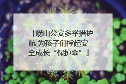 崂山公安多举措护航 为孩子们撑起安全成长“保护伞”