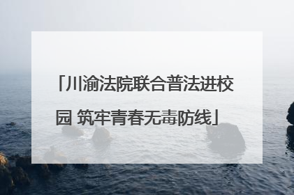 川渝法院联合普法进校园 筑牢青春无毒防线