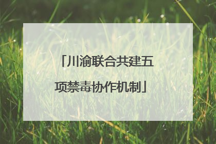 川渝联合共建五项禁毒协作机制