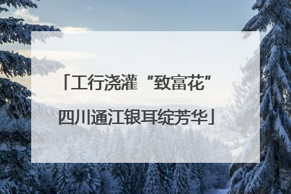 工行浇灌“致富花” 四川通江银耳绽芳华