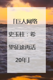 巨人网络史玉柱：希望征途再活20年
