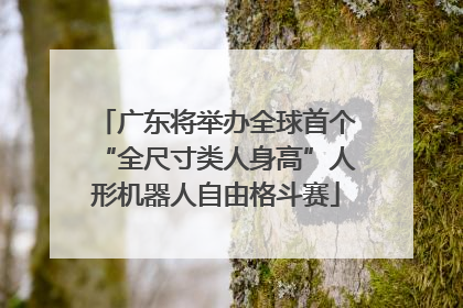 广东将举办全球首个“全尺寸类人身高”人形机器人自由格斗赛