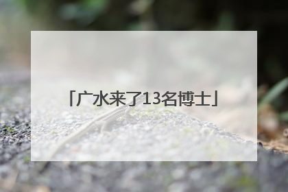 广水来了13名博士