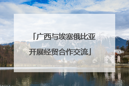 广西与埃塞俄比亚开展经贸合作交流