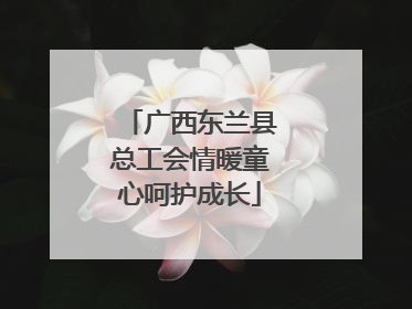 广西东兰县总工会情暖童心呵护成长
