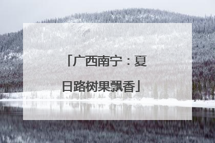 广西南宁：夏日路树果飘香