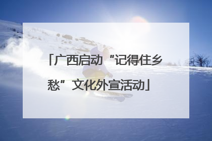 广西启动“记得住乡愁”文化外宣活动