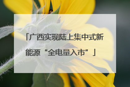 广西实现陆上集中式新能源“全电量入市”