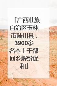 广西壮族自治区玉林市陆川县：3900多名本土干部回乡解纷促和