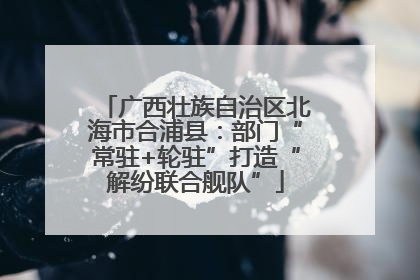 广西壮族自治区北海市合浦县：部门“常驻+轮驻”打造“解纷联合舰队”