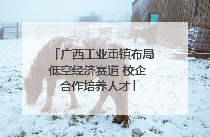 广西工业重镇布局低空经济赛道 校企合作培养人才