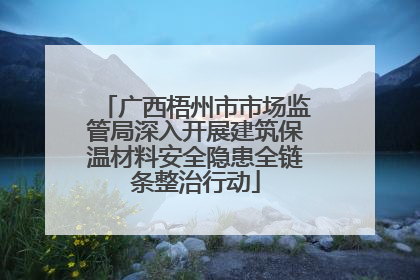 广西梧州市市场监管局深入开展建筑保温材料安全隐患全链条整治行动