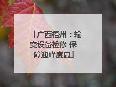 广西梧州：输变设备检修 保障迎峰度夏