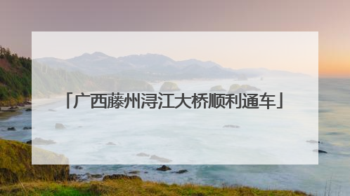 广西藤州浔江大桥顺利通车