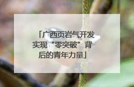 广西页岩气开发实现“零突破”背后的青年力量