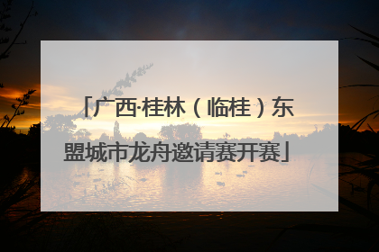 广西·桂林（临桂）东盟城市龙舟邀请赛开赛