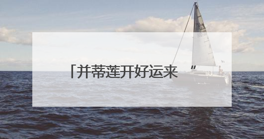 并蒂莲开好运来 “星空牡丹”绽异彩 洪湖公园“国际荷花派对”三天迎客六万