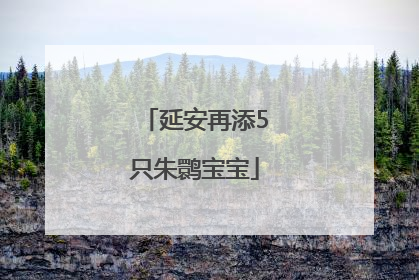延安再添5只朱鹮宝宝